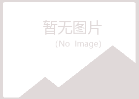 兰山区曹培司机有限公司